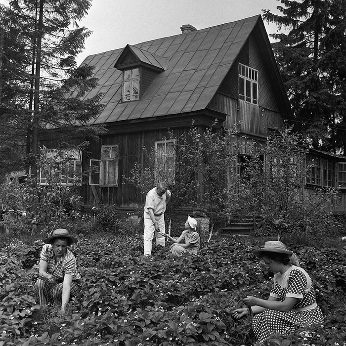 ��������� �������: ���� ��� ���� � ����� � ����� � ��������, ��������, ������.