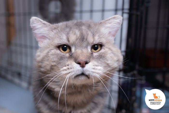   - 2 ,   .  .        - .  :             .