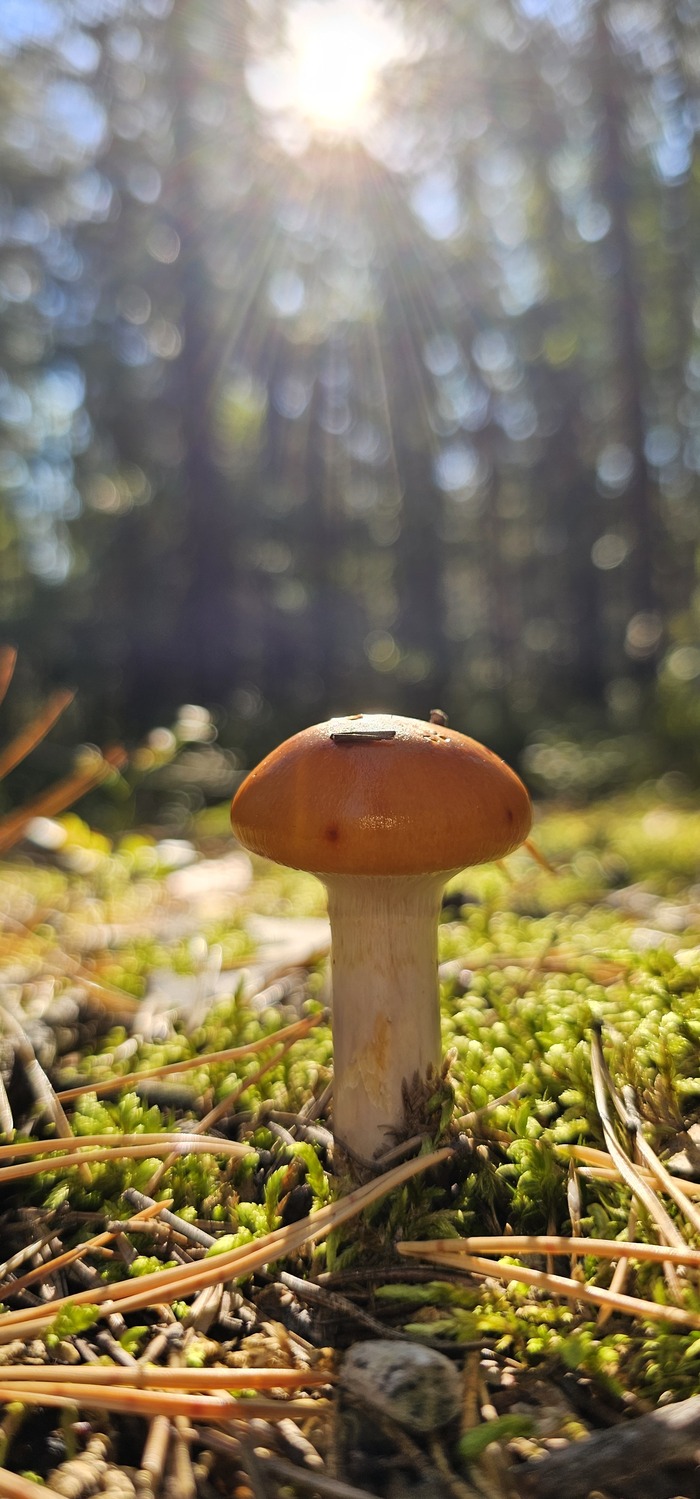 ���� � ����