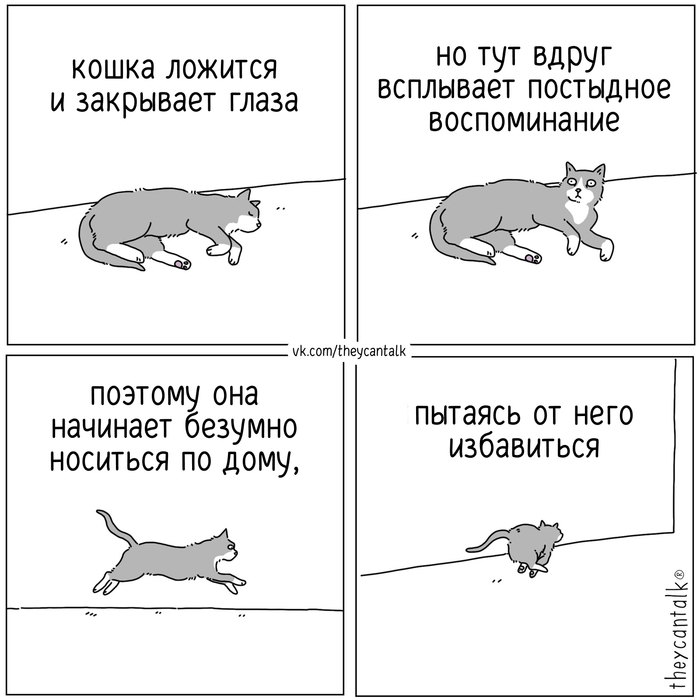    Theycantalk,  , ,  (), Telegram (), , 