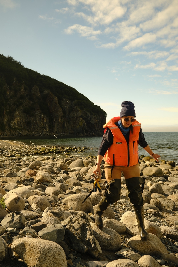 Поиск и сбор мусора