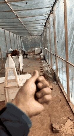    , , , 