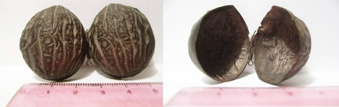 Шкатулочка из меди сперва показалась простым орехом. Если бы не металлоискатель, никто бы и не подумал, что вещица из металла.