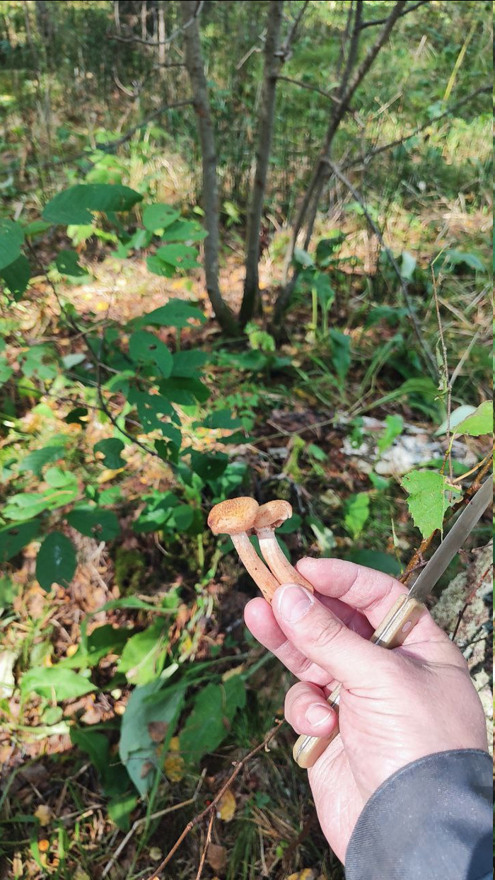   22       , ,  , ,  , 