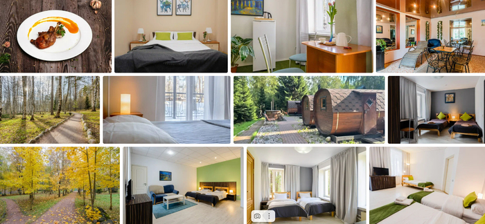 Добрый Лось 3* - скриншот сайта ЯндексПутешествия