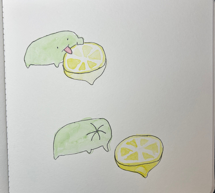 Лимонная среда, чувак