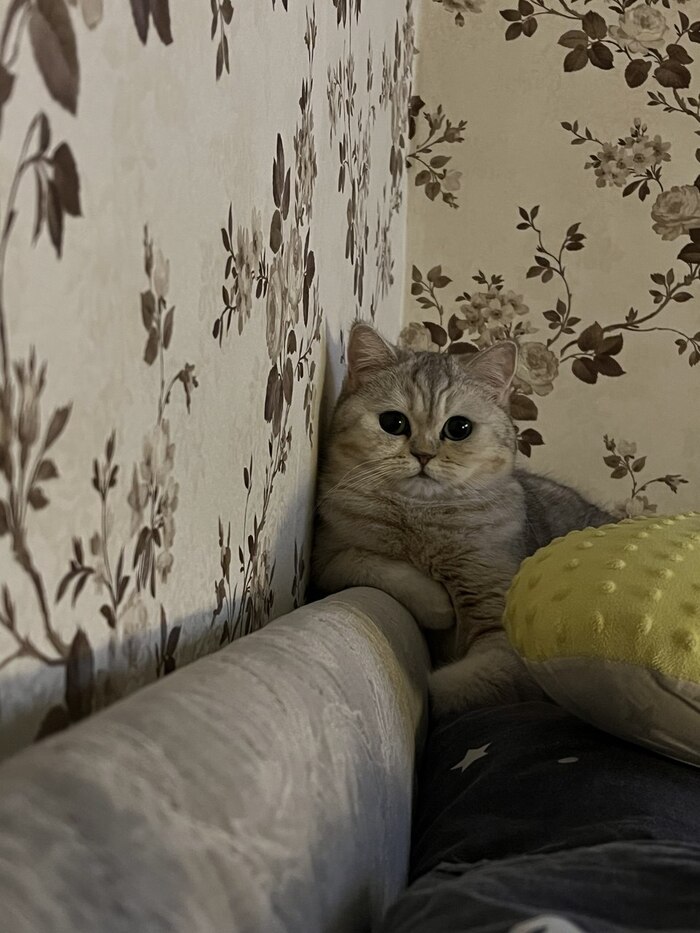   ,    ,  ,  ,    , , , ,  , 