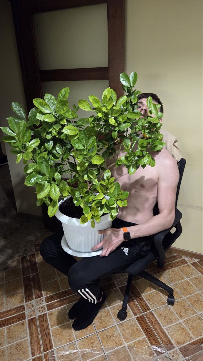 ����������� ������� ������