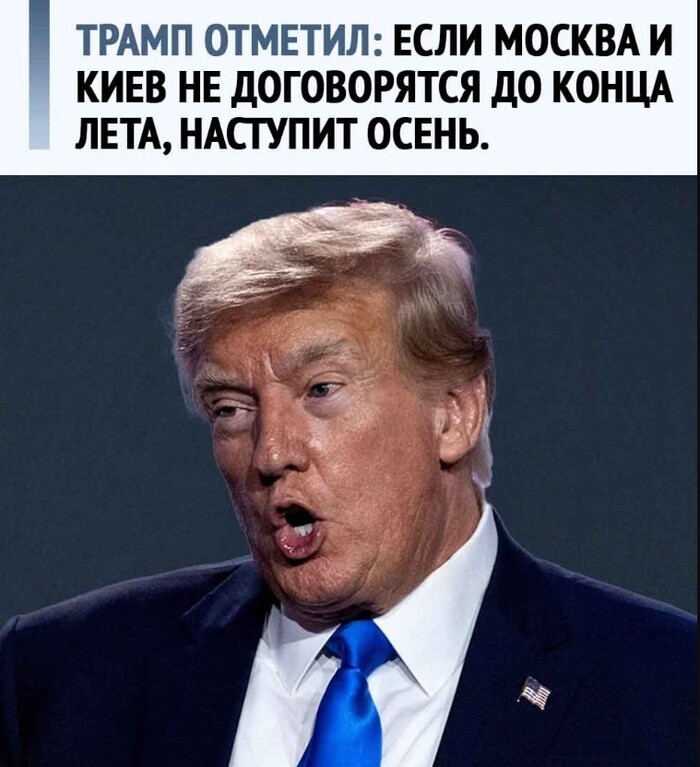 Провидец