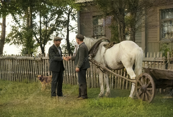 ��������: �. ������