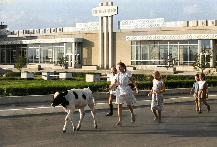 ��������: ������� ������