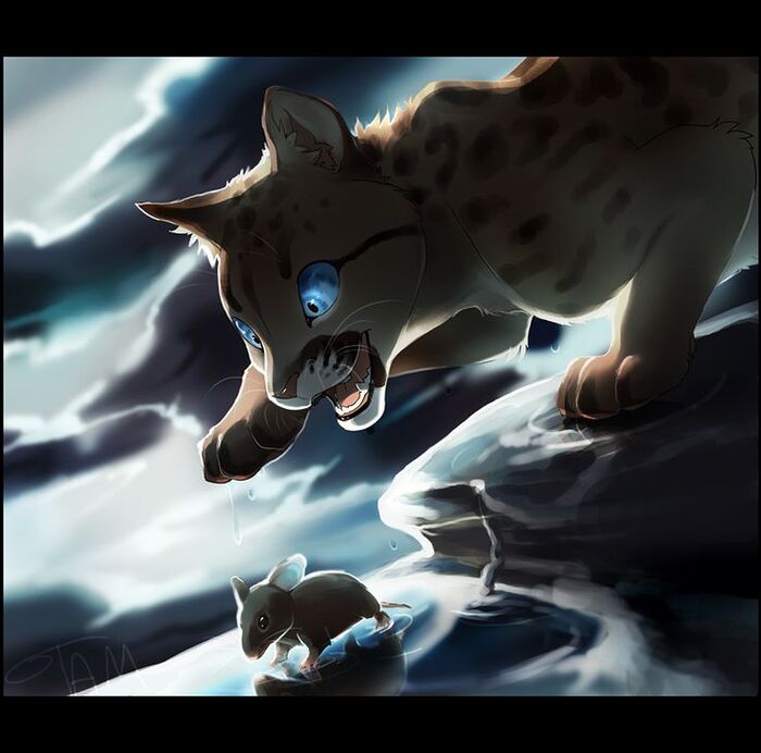 Кот на охоте