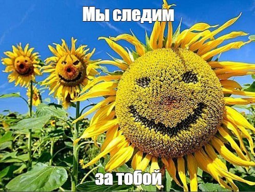""  , ,   