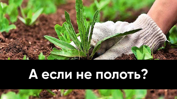  ,    :   ""      , , , , , , , 