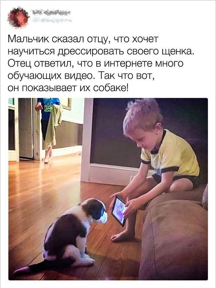 svsrcmow.webp