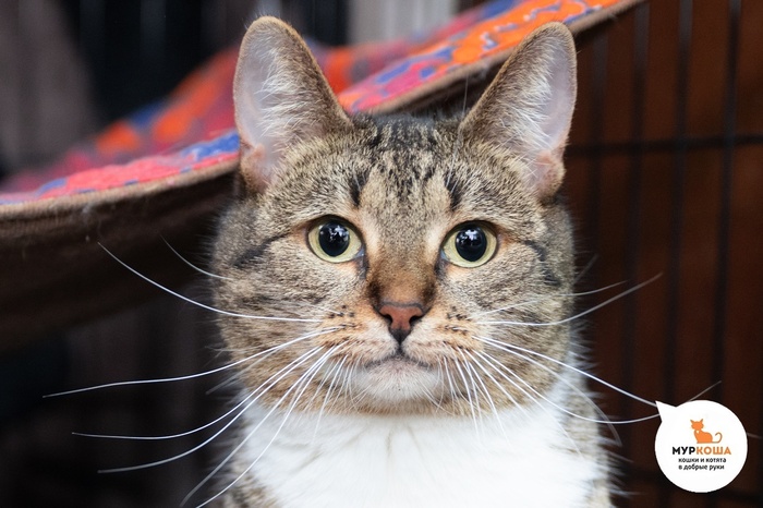   - 3 ,      .  .        - .  ,              .