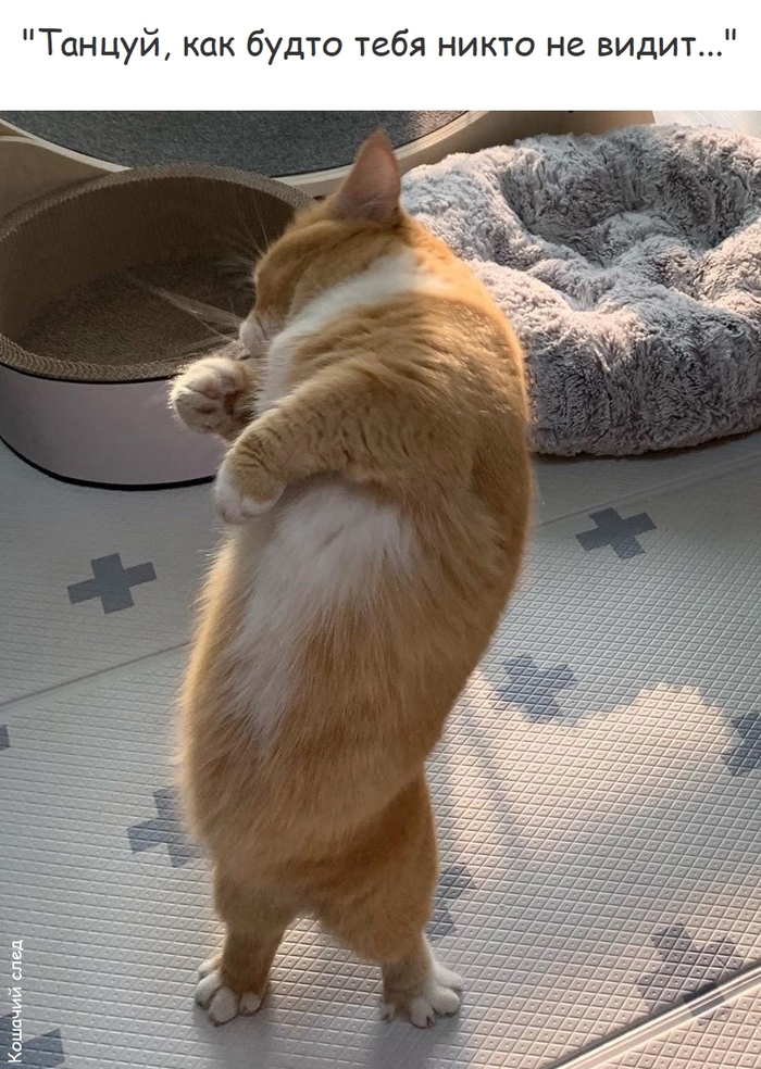 ,        , , ,  (),   