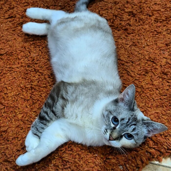    , ,   ,  ,  