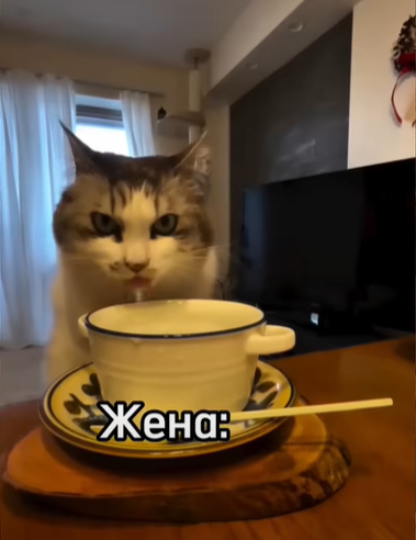 Когда в гостях у друзей похвалил еду хозяйки