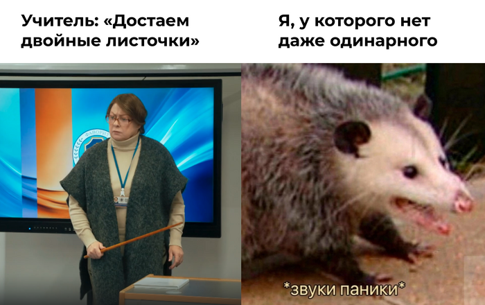    :   ,     ,    , , , RUTUBE, ,  