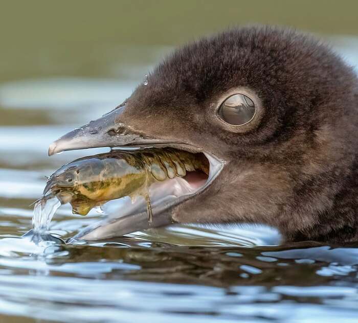 ! , , ,  ,  ,  , , 