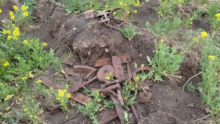  ,   14     ,       .