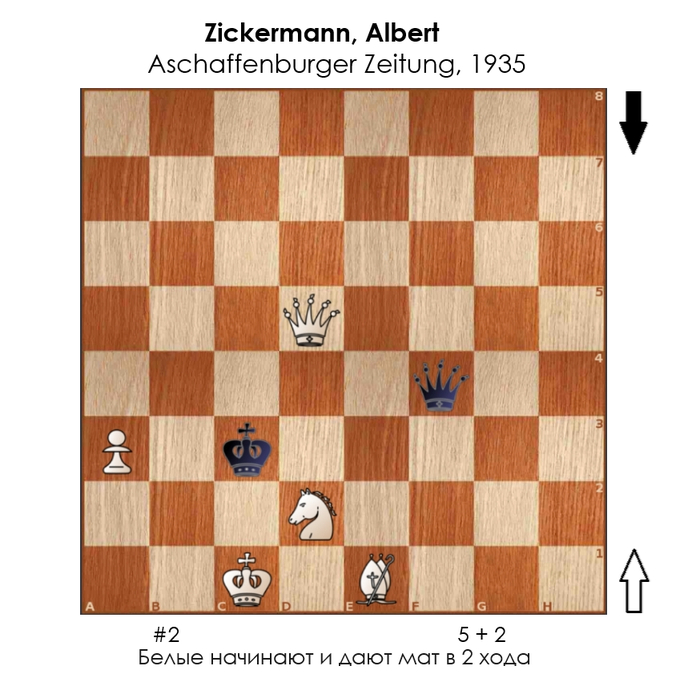  #337 ,  , , 