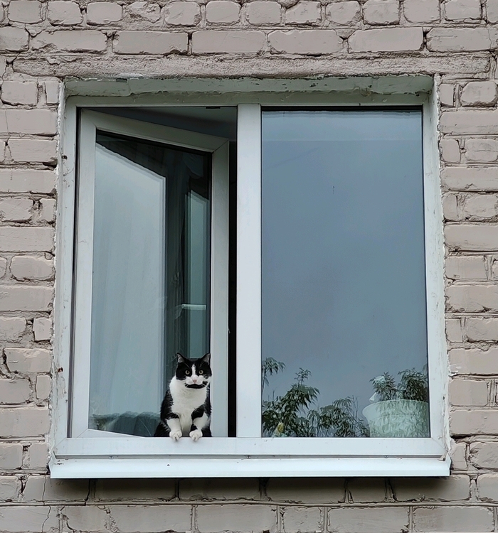    , , , , , , , , , , , , ,  ,  , , ,  , 