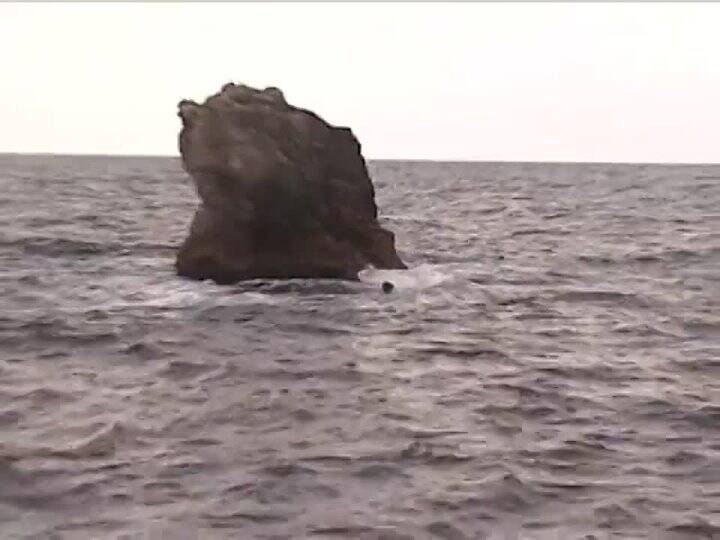 ������������