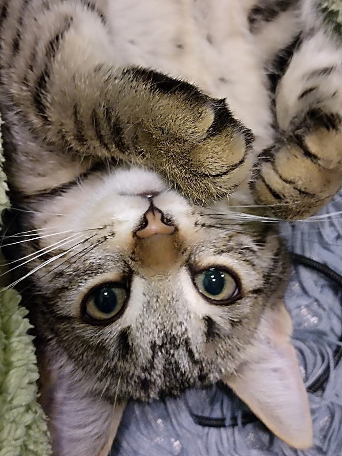      , ,  ,  , ,   