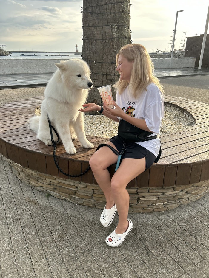 �������� ��������. 