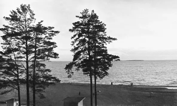  -  ,       ,     .    -