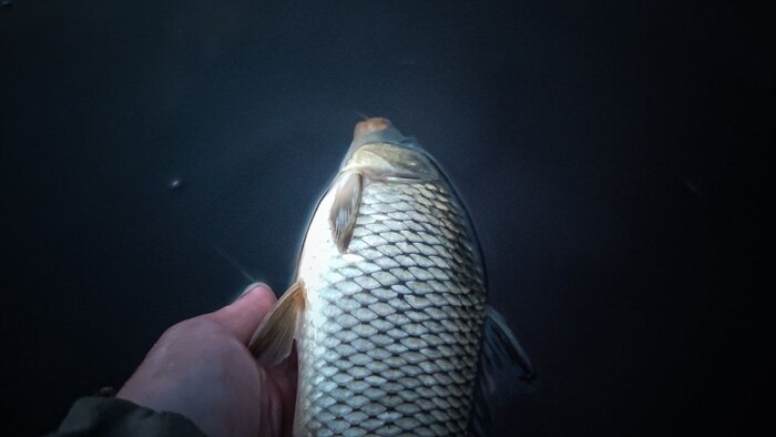 ЛЮБОГОРЬЕ (18.08.2025)