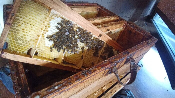    ,     - "".    , ,      -  "".