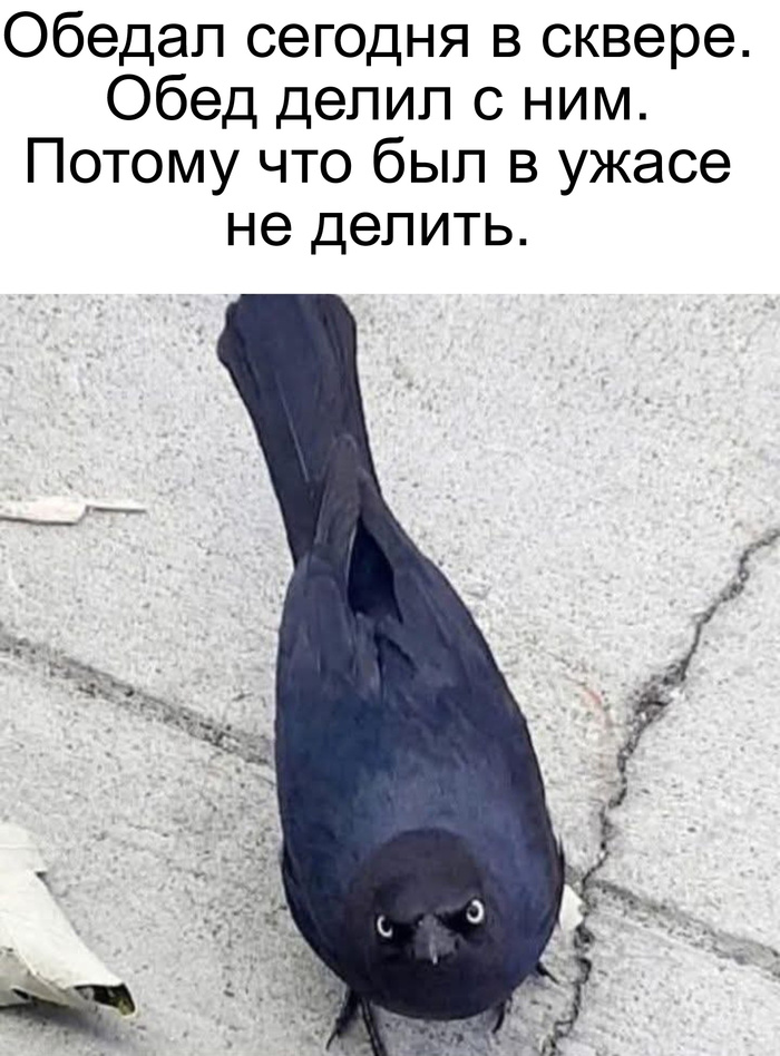       ? ))) ,   , , 