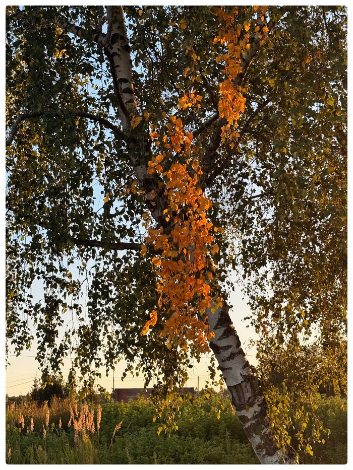   , , , 