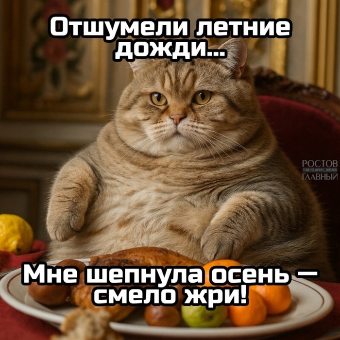    ? , , , , , , , ,  