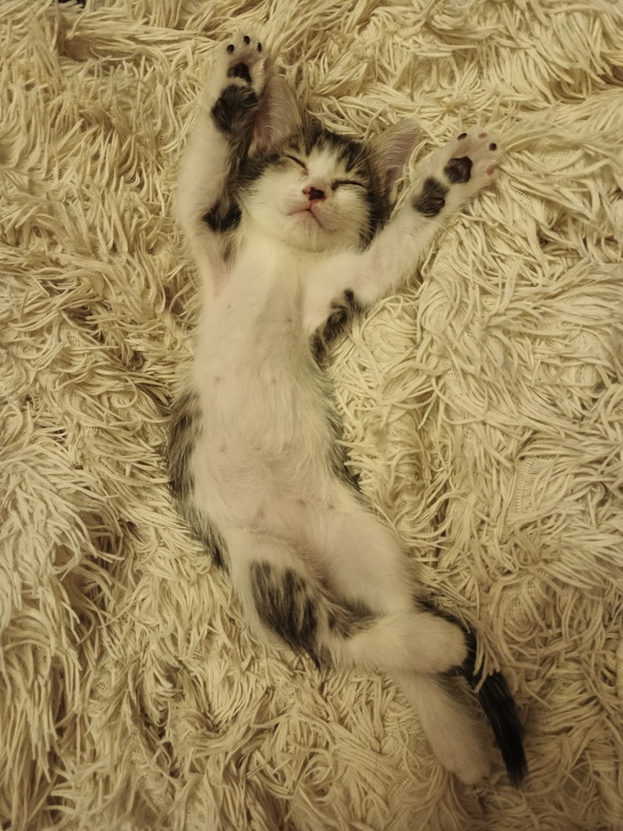     , , 
