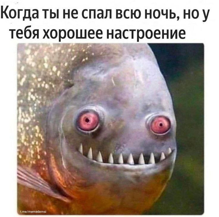     , , , , , , ,   , , ,  ,  , , -3, , , 