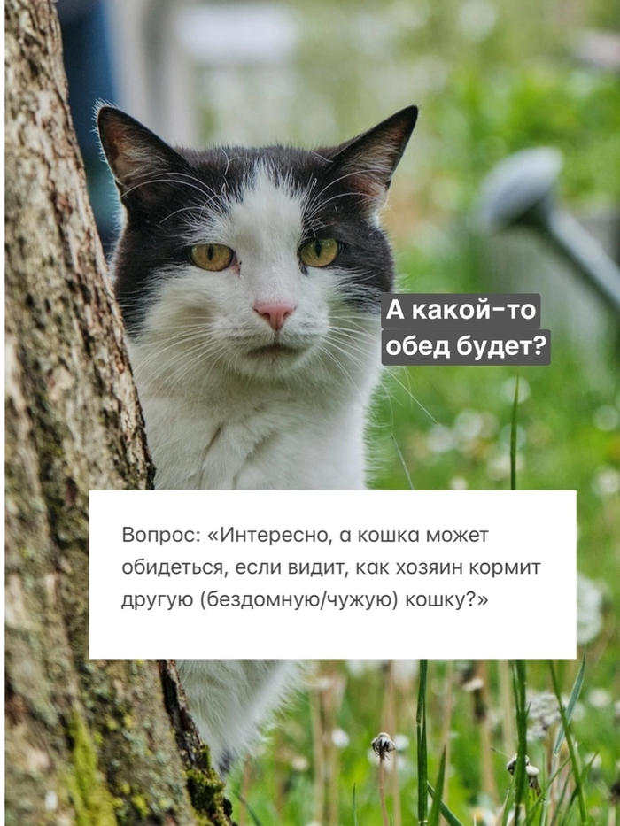   ,  ,     (/) ? , , , ,  , ,  ,  , , , 