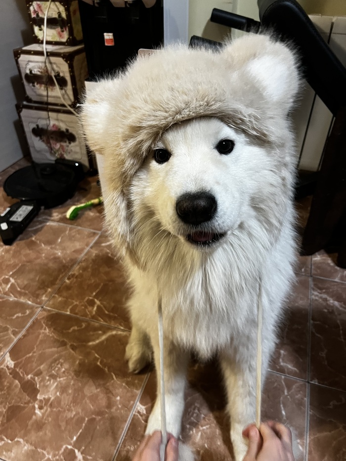 ����� �����