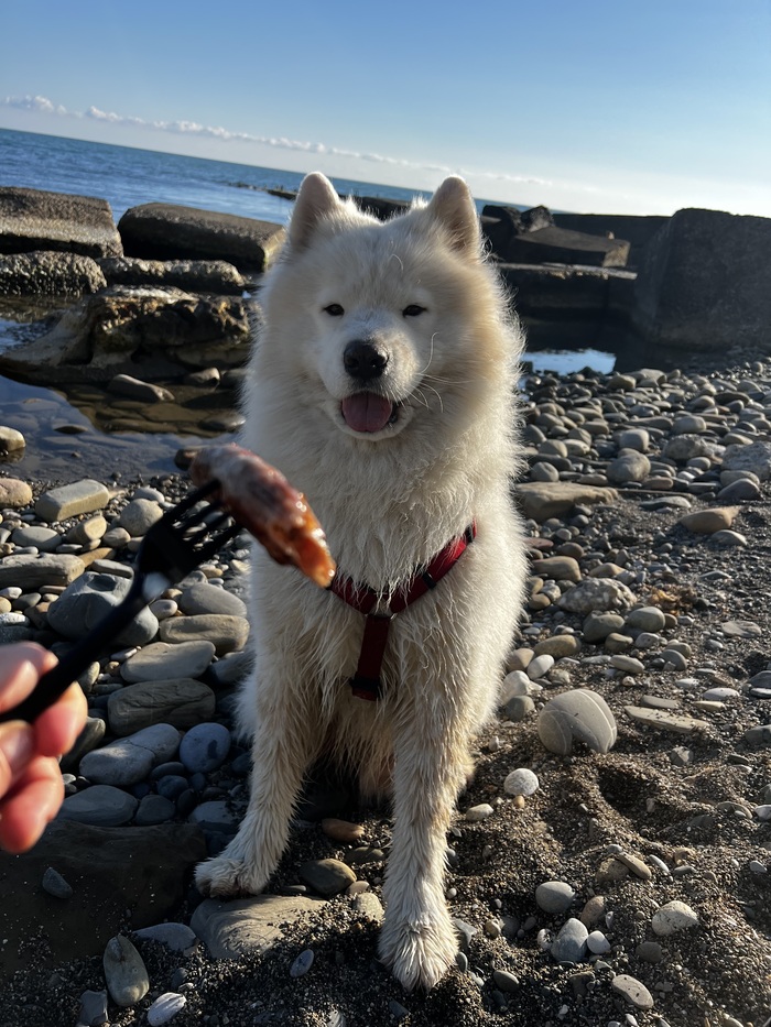 ������� �� ����