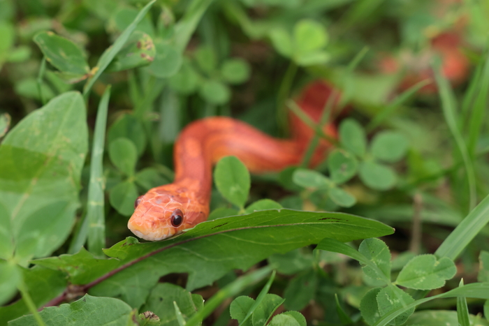 ����� ������� ���� ���� ��������� � ������� ������� � �����.