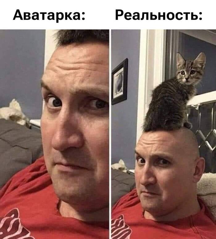  , , , ,  , 