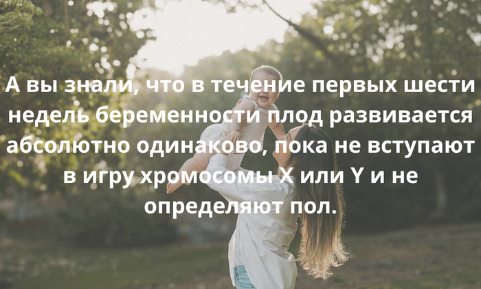 Telegram (),   ,  , 