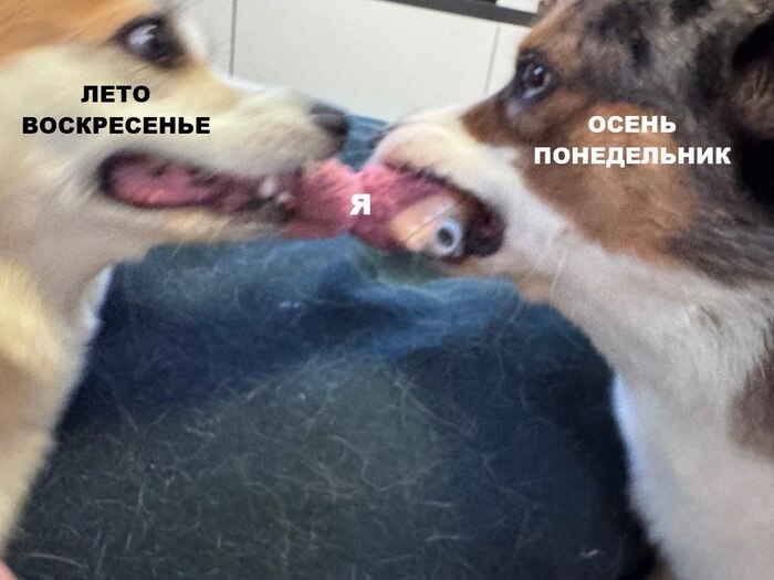  ,    , , ,   