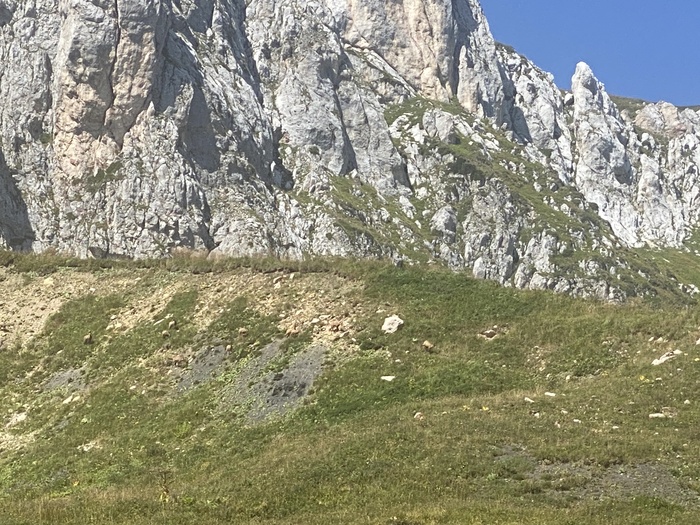 Где то на фото есть Серны. Прошли совсем рядом