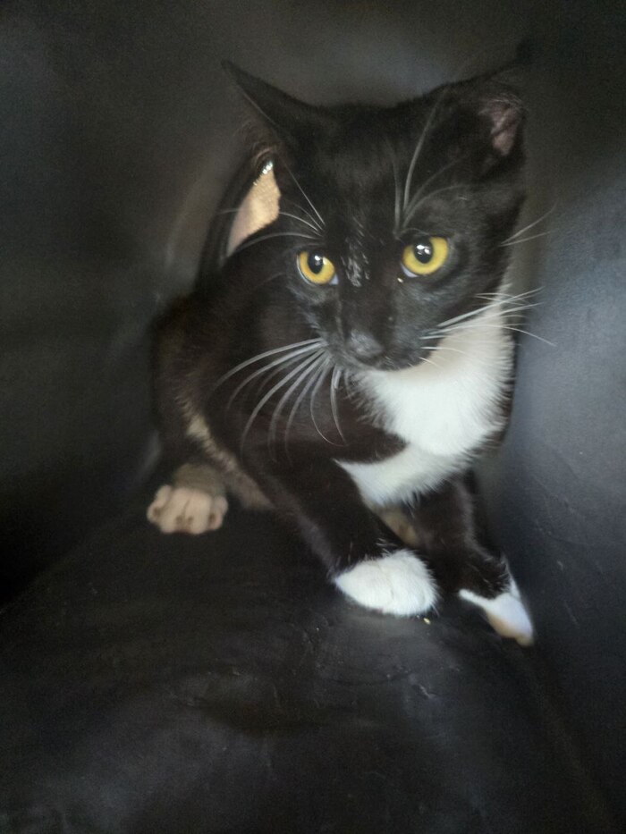 Степашка еще едет домой