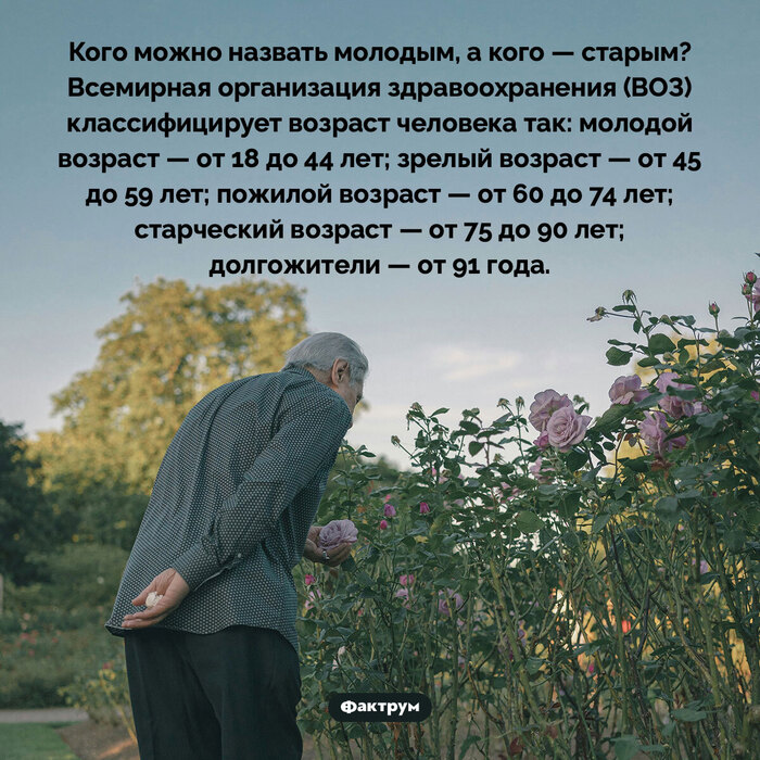  -    , , , , 31-35 , 