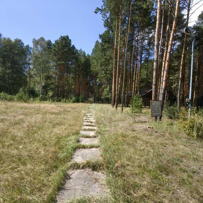 дорога жизни